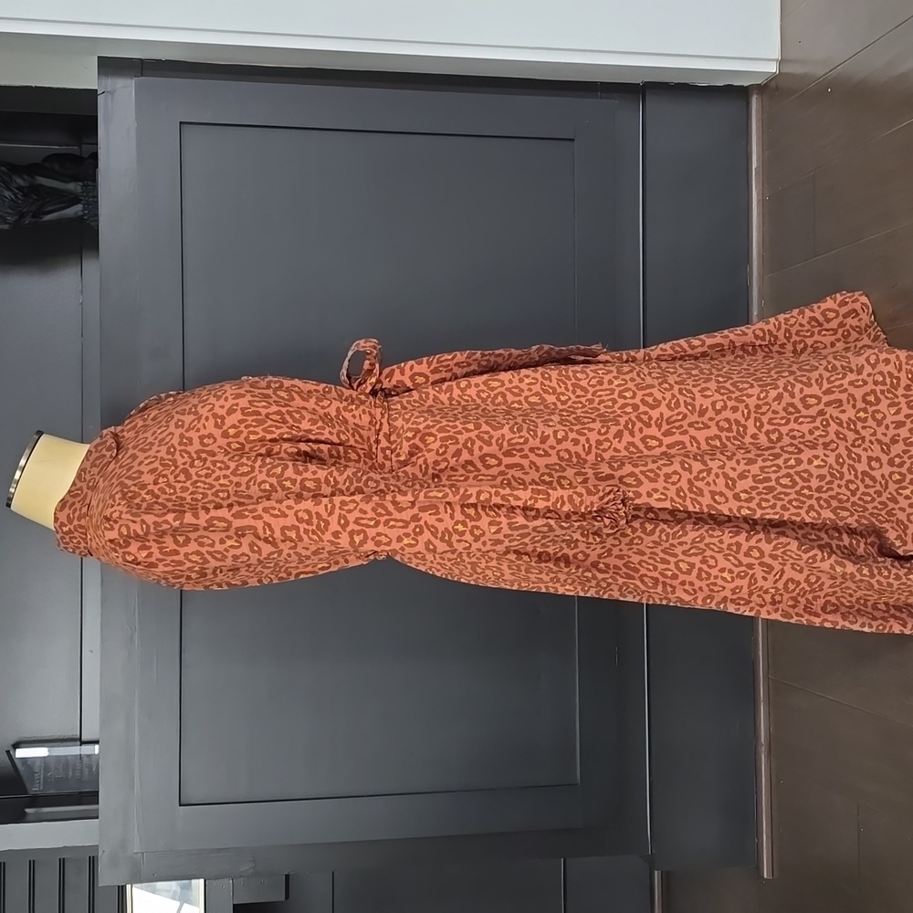 Leopard Print Button-Up Dress - Picture 3 of 8